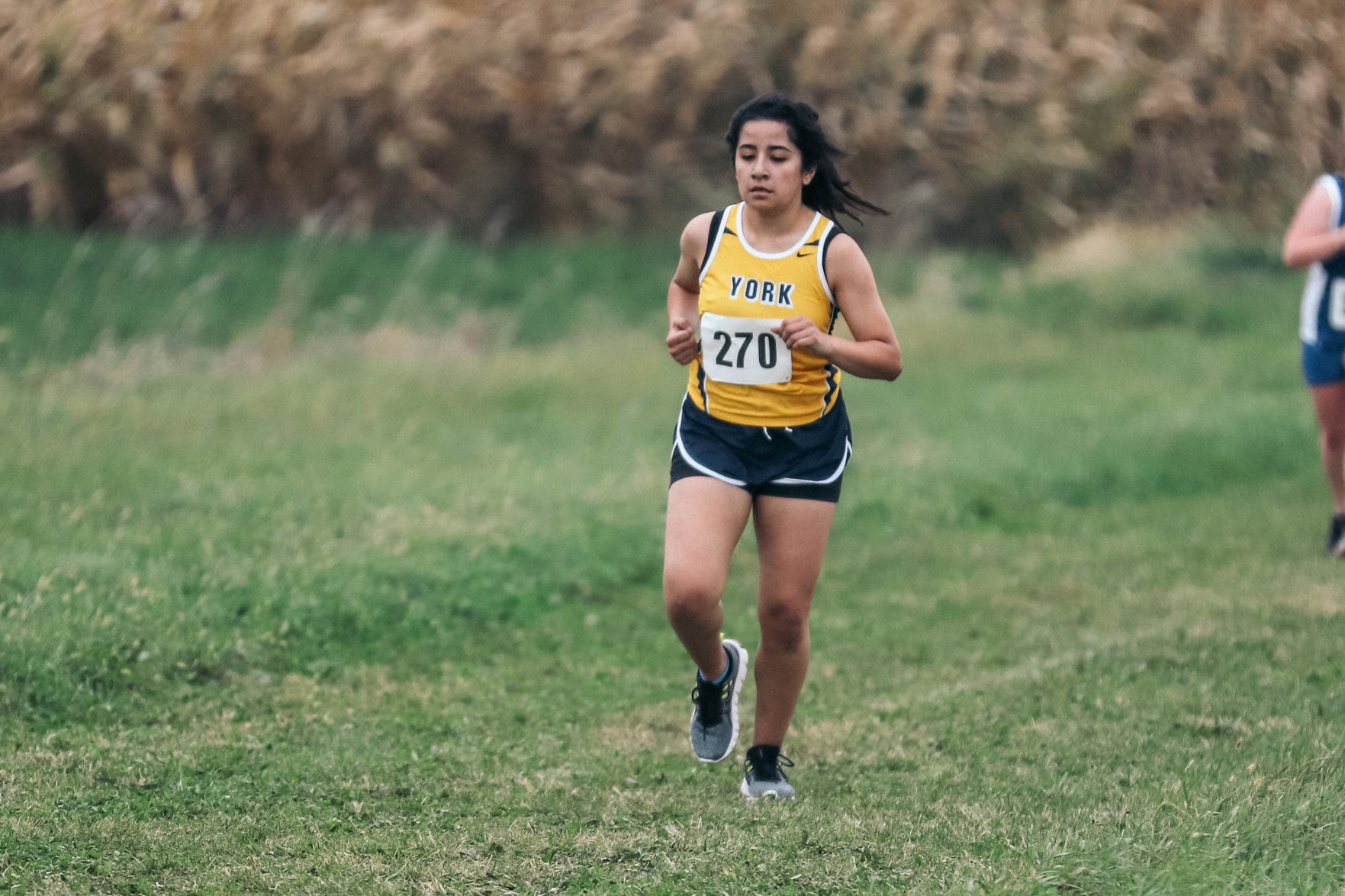 York Central Conference XC (11).jpg